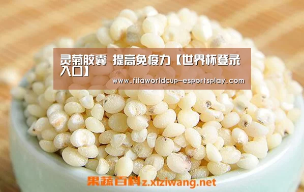 灵菊胶囊 提高免疫力【世界杯登录入口】(图1) 世界杯体育APP