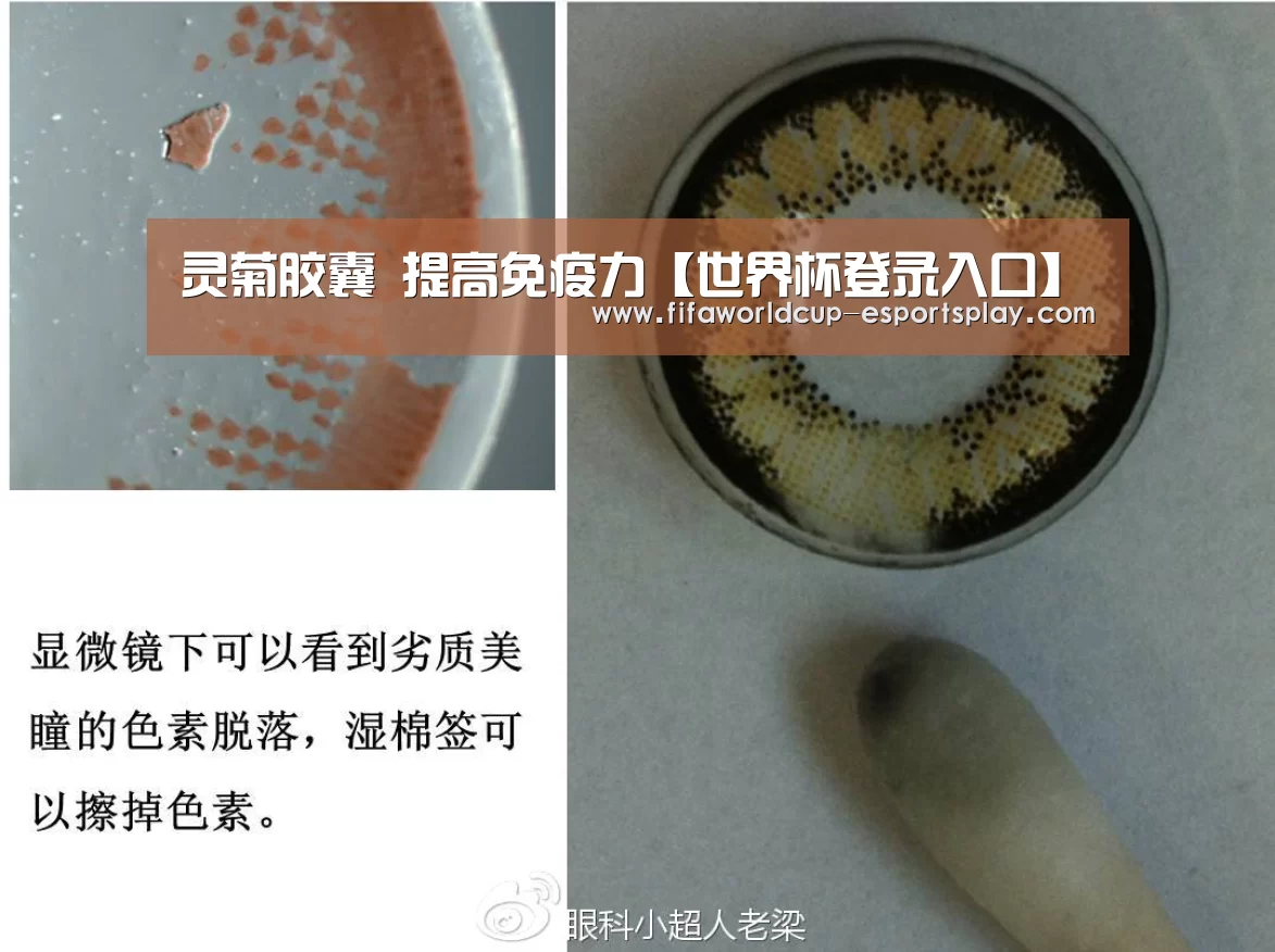灵菊胶囊 提高免疫力【世界杯登录入口】(图4) 世界杯电竞