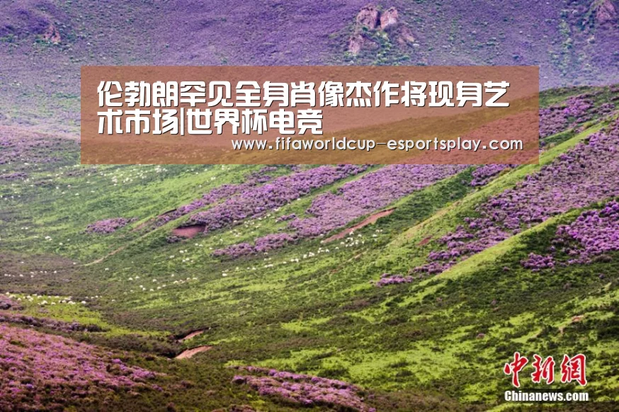 伦勃朗罕见全身肖像杰作将现身艺术市场|世界杯电竞(图2) 世界杯体育APP