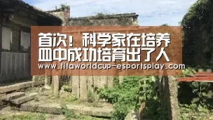 首次!科学家在培养皿中成功培育出了人类免疫细胞:世界杯电竞(图1) 世界杯电竞